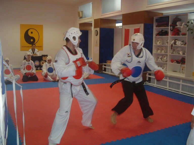 Taekwondo Mungos Galerie